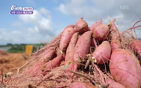 220815_청산에 살리라.ts_20220816_213051.071.jpg