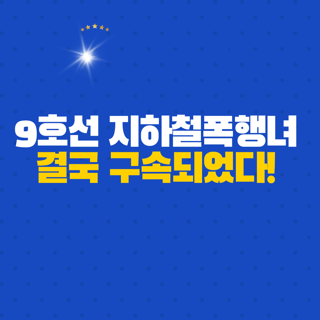  9호선 지하철폭행녀, 결국 구속 [정의구현]