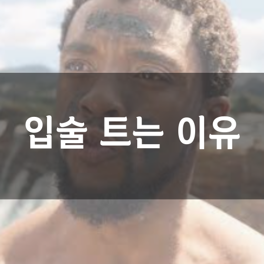 입술 트는 이유