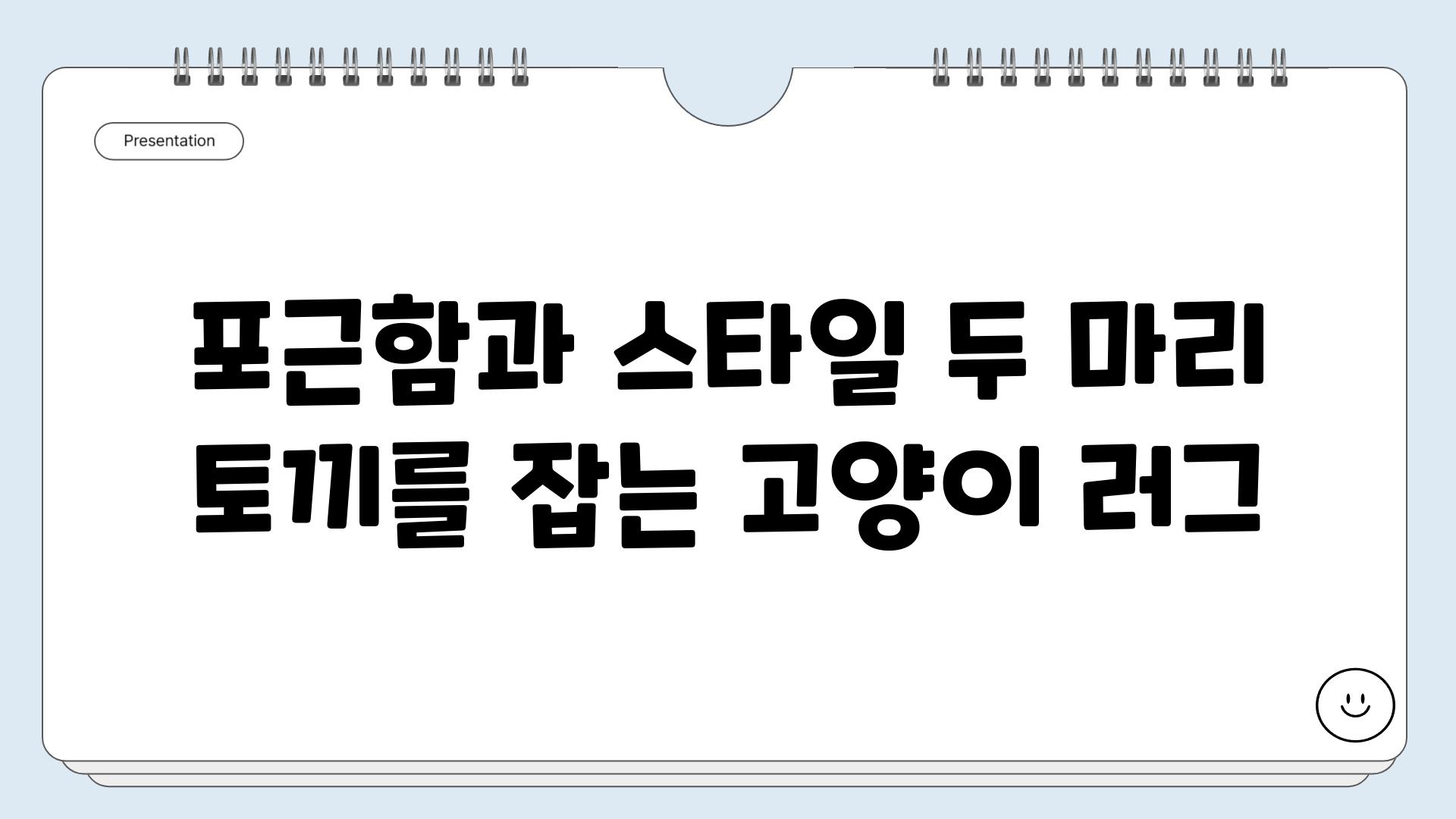 포근함과 스타일 두 마리 토끼를 잡는 고양이 러그