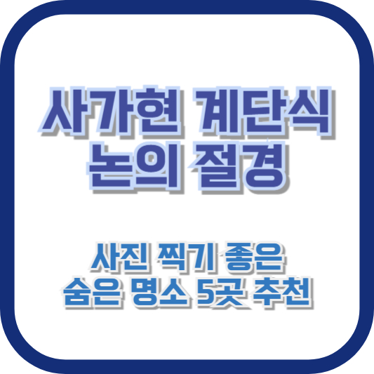 사가현 계단식 논의 절경, 사진 찍기 좋은 숨은 명소 5곳 추천