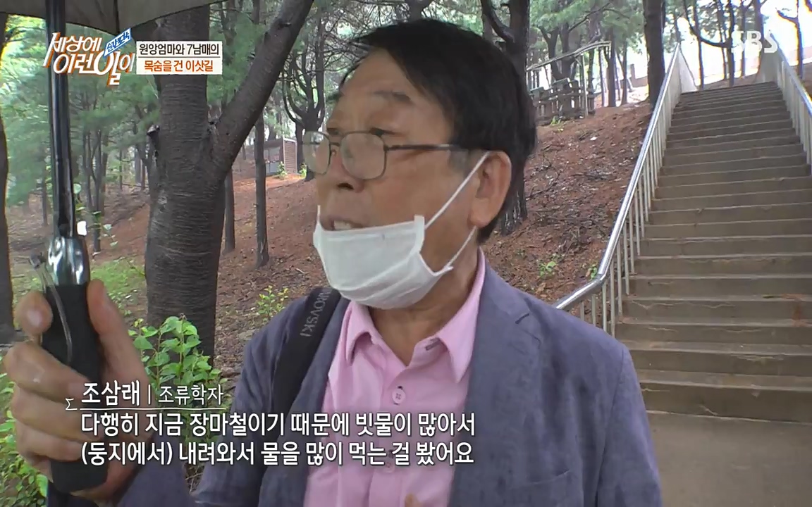 순간포착 세상에 이런일이.E1188.220713p-NEXT.mp4_20220713_175325.792.jpg