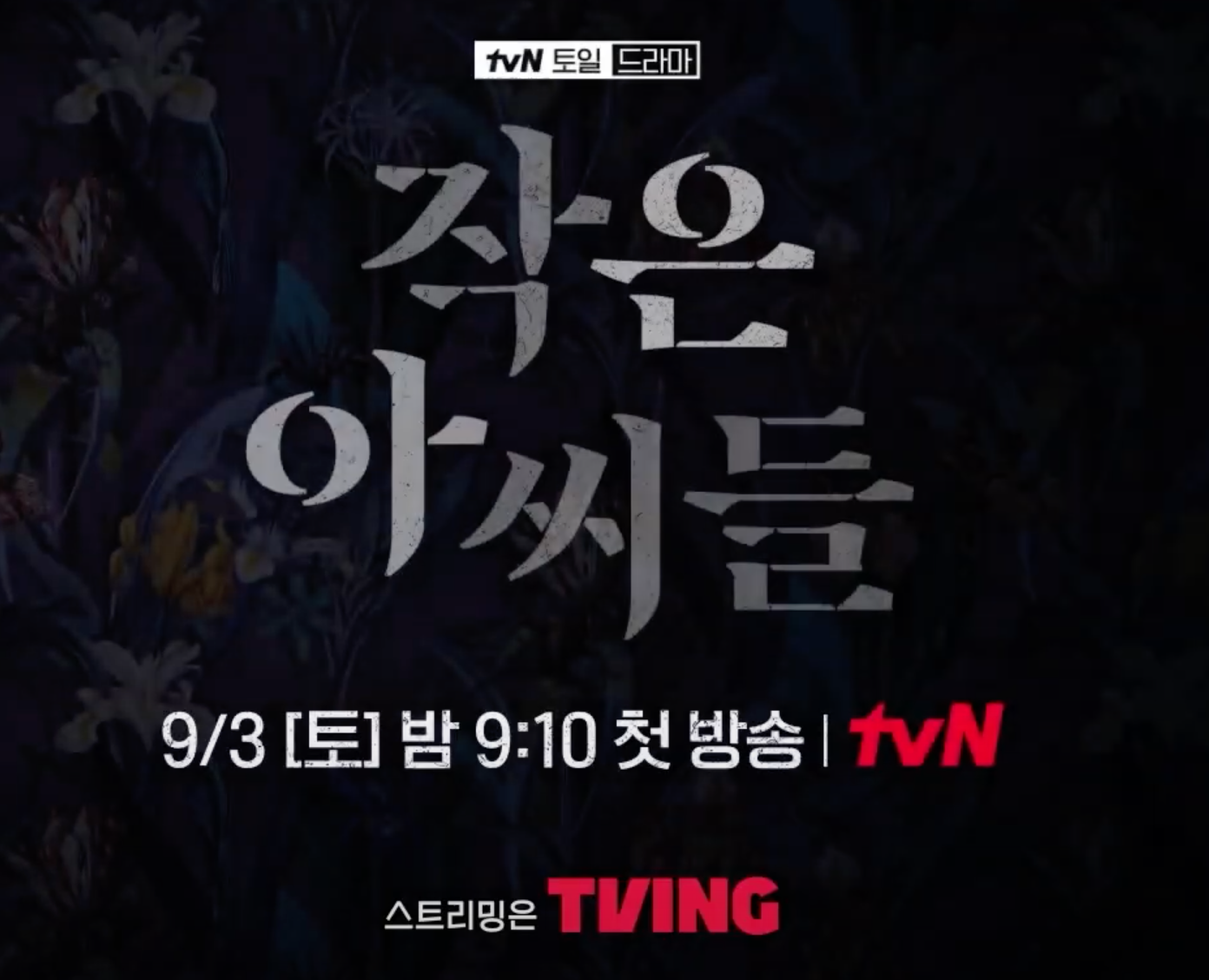 드라마 작은 아씨들