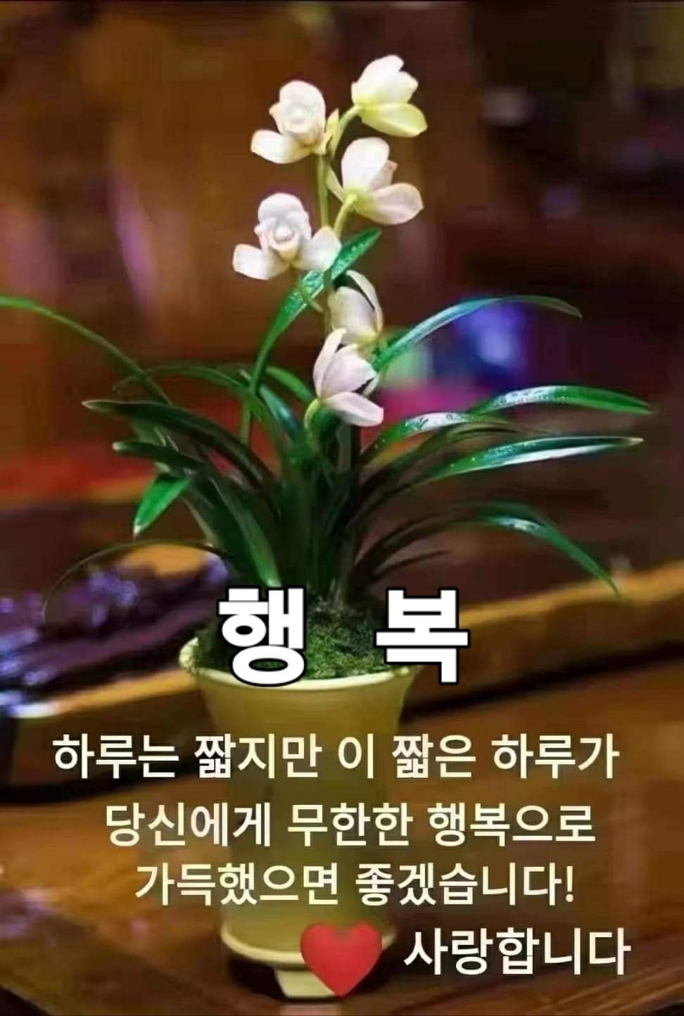  인간의 가치는 노력이 양으로 결정된다