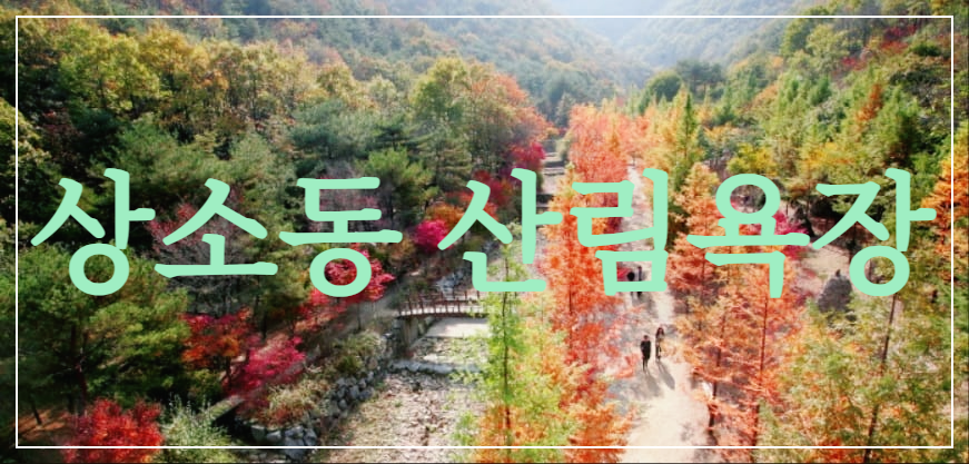 상소동 산림욕장