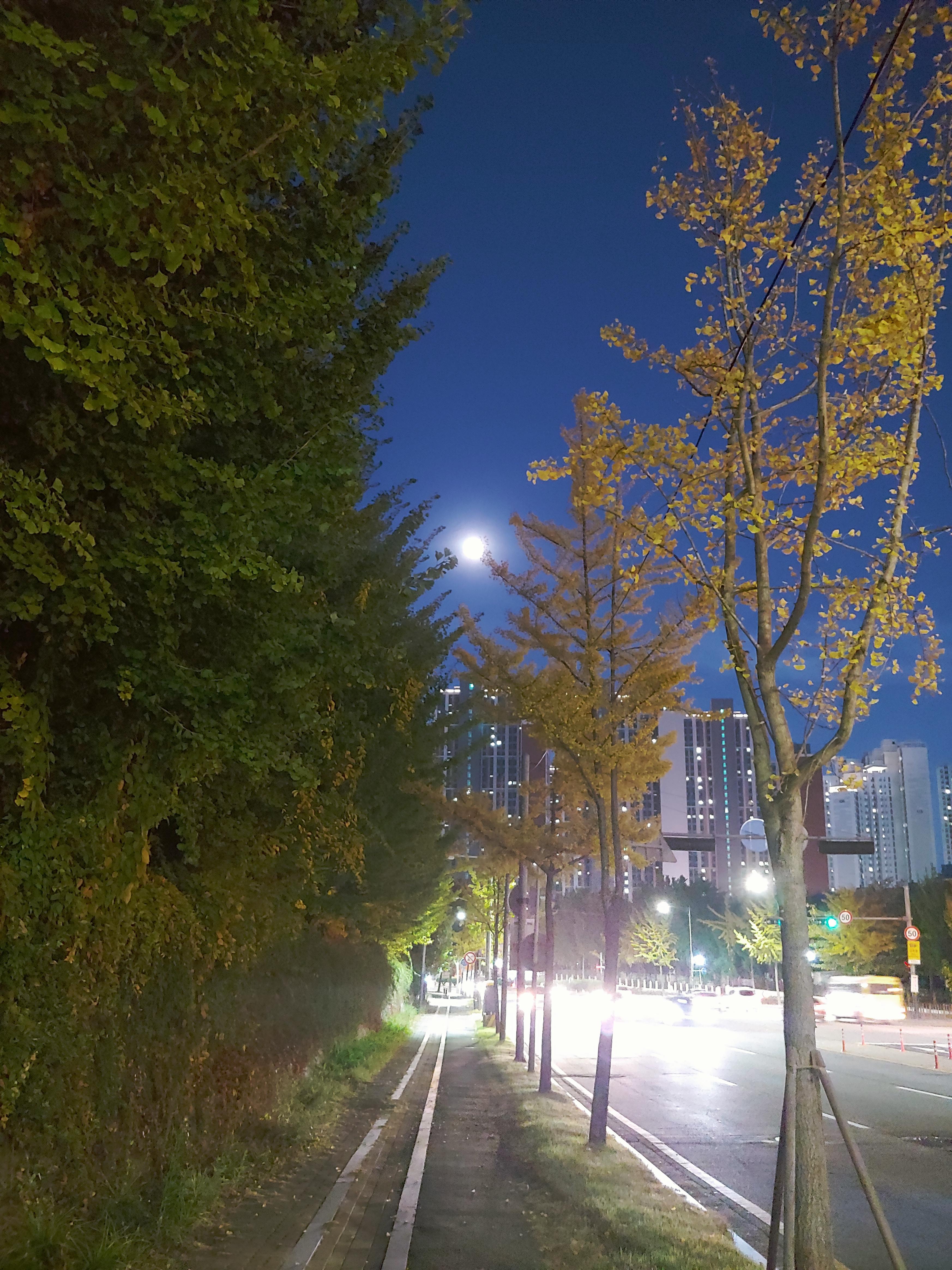  2020年 10月29日 운동의 필요성을 느낀다