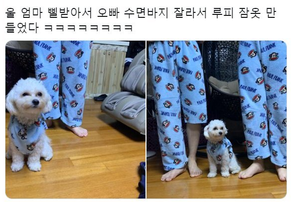  엄마가 만든 댕댕이 잠옷ㅋㅋㅋㅋㅋ