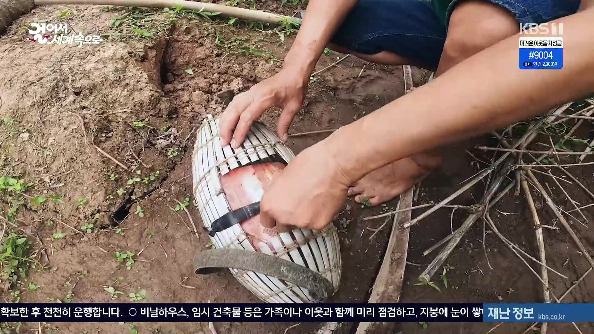걸어서 세계속으로.E826.240120p.H264-F1RST.mp4_20240716_202146.752.jpg