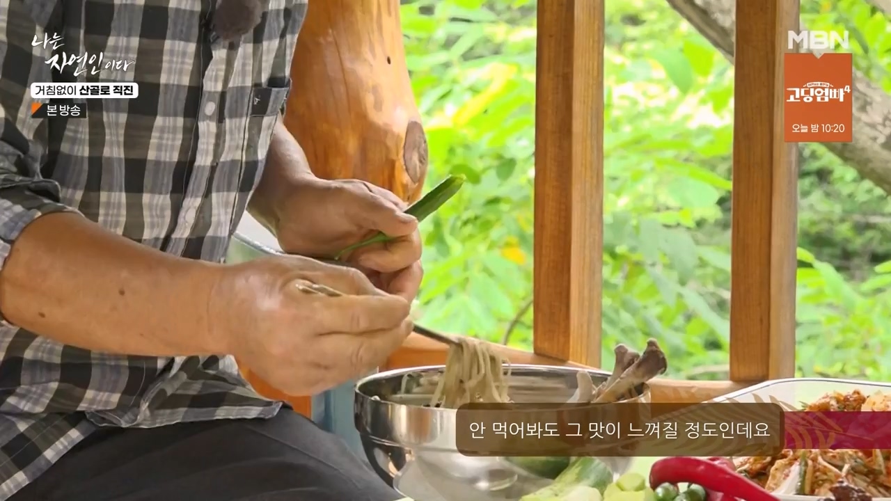 나는 자연인이다.E564.230727p-NEXT.mp4_20230727_211926.513.jpg