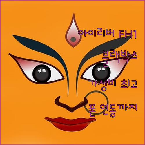 아이리버 FH1 블랙박스 가성비 최고
