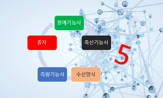  중장년층이 도전하지 말아야 할 자격증 5가지