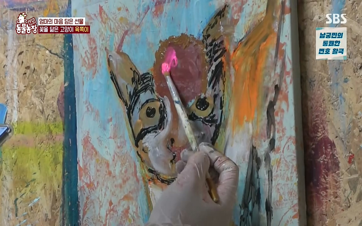 TV 동물농장.E1087.220919p-NEXT.mp4_20220918_180233.806.jpg