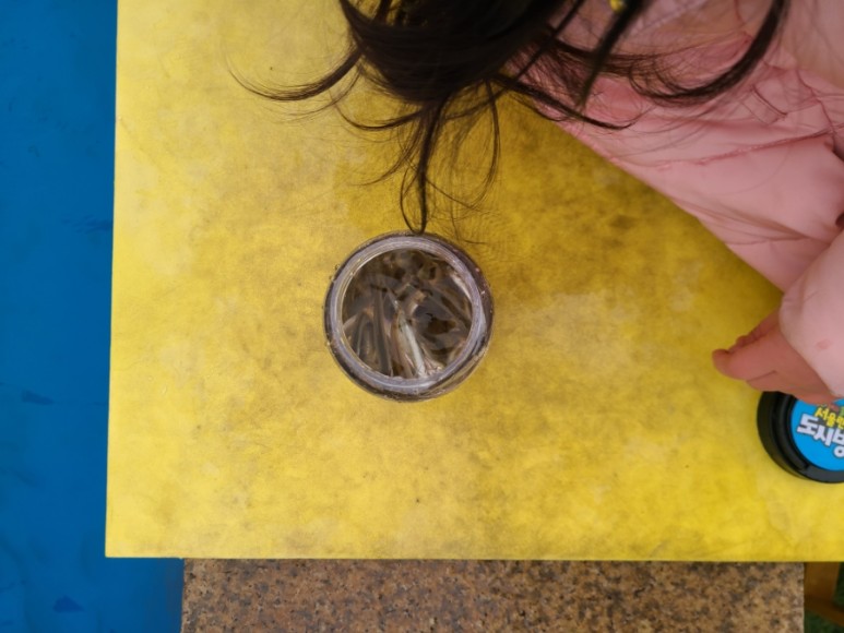 서울랜드빛축제 1