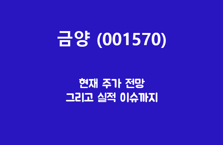  금양 (001570) 주가, 실적, 전망, 기업분석
