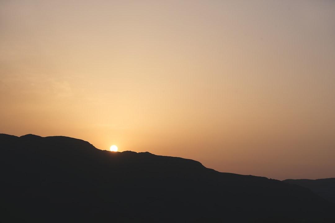 Shine Muscat