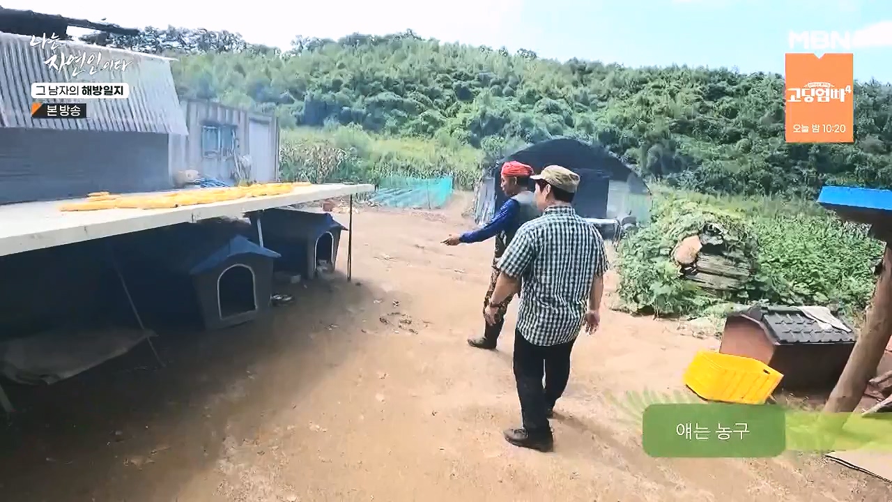 나는 자연인이다.E570.230907p-NEXT.mp4_20230909_163954.178.jpg