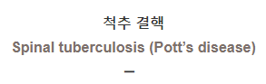  척추 결핵 [Spinal tuberculosis (Pott’s disease)]