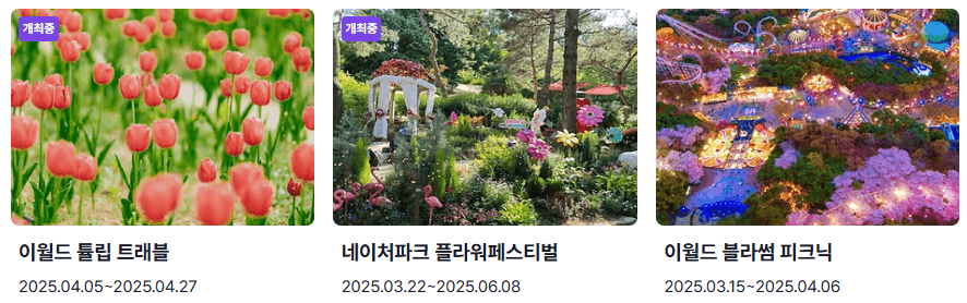 경상도 꽃축제 일정