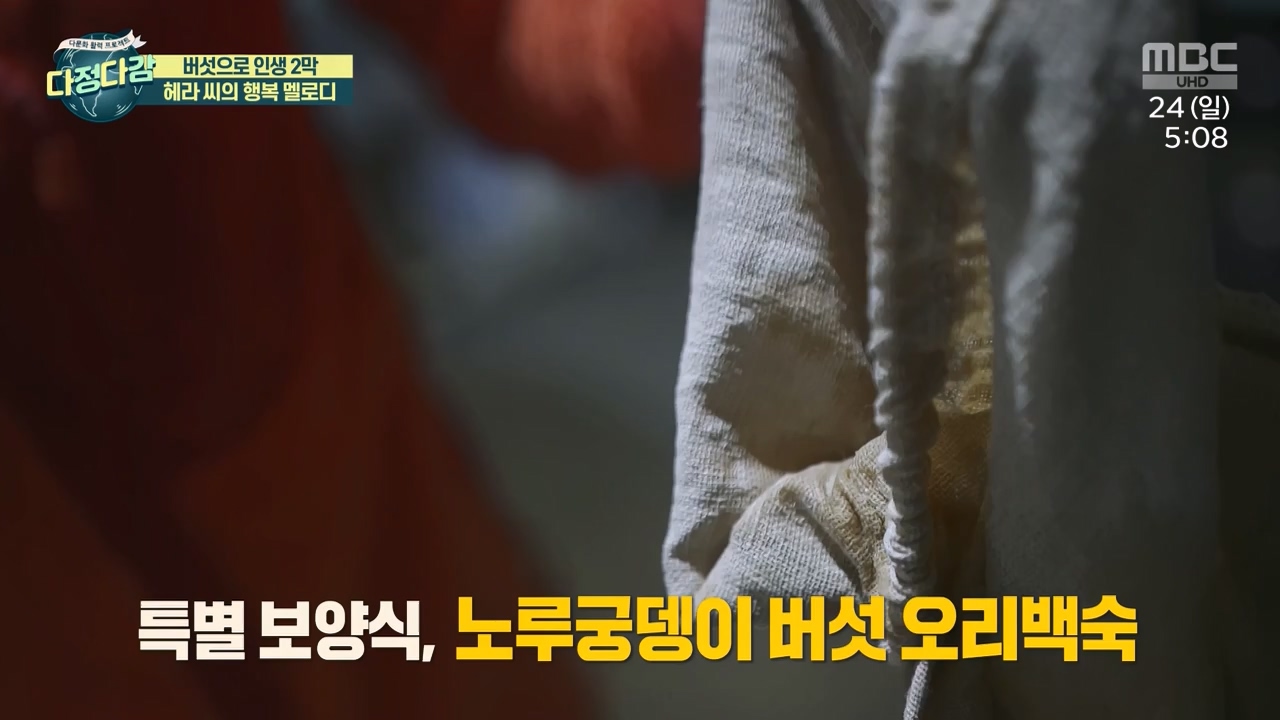 MBC 네트워크 특선 - 다문화 활력 프로젝트 다정다감.E1669.240325p-NEXT.mp4_20240328_202437.713.jpg