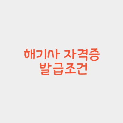 해기사-자격증-발급조건