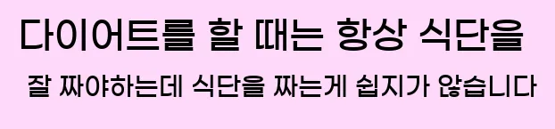  다이어트를 할 때는 항상 식단을 잘 짜야하는데 식단을 짜는게 쉽지가 않습니다