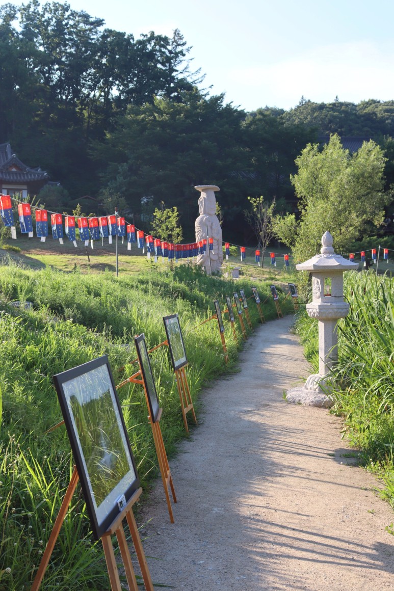 봉선사 연꽃 피는 시기 꽃놀이 합니다~경기도 연꽃축제 남양주여행 14