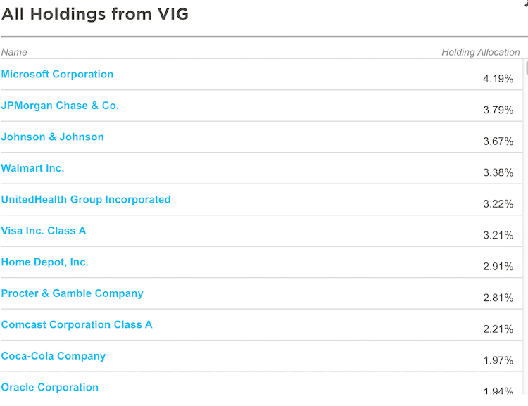 vig holdings