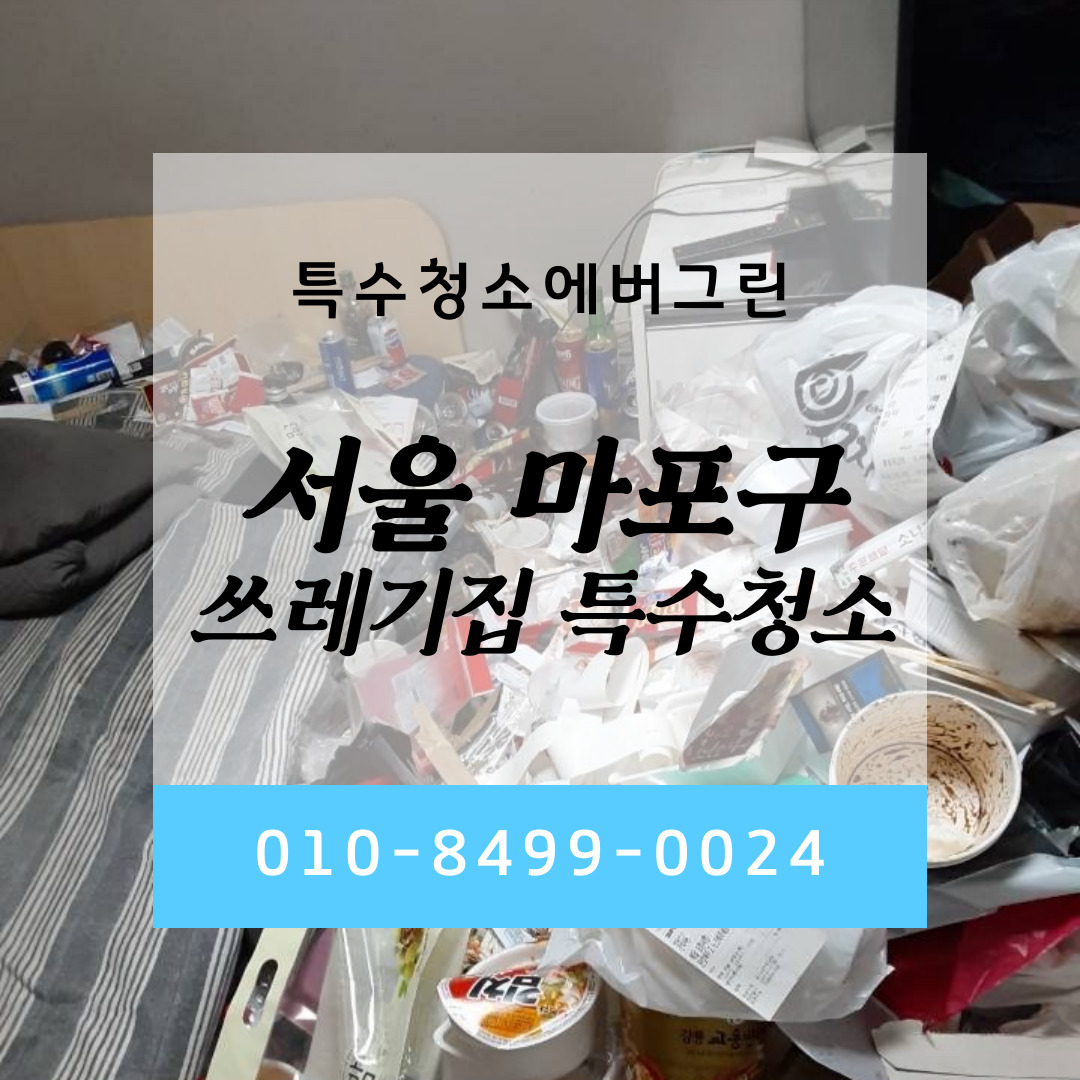  서울 종로구 쓰레기집 특수청소 에버그린 진행사례 비용