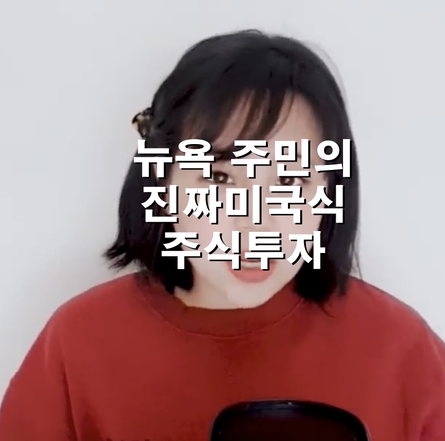  진짜 미국식 주식투자, 메타버스, 100가지 블루오션 리뷰하기