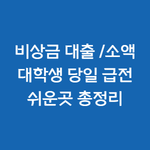  비상금 대출/소액 대학생 당일 급전 쉬운 곳/총정리