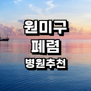 부천 원미구 폐렴