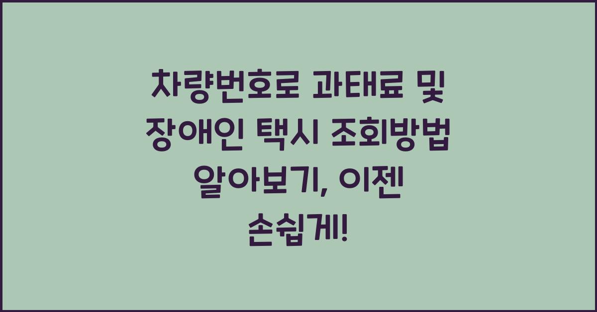 차량번호로 과태료 및 장애인 택시 조회방법 알아보기