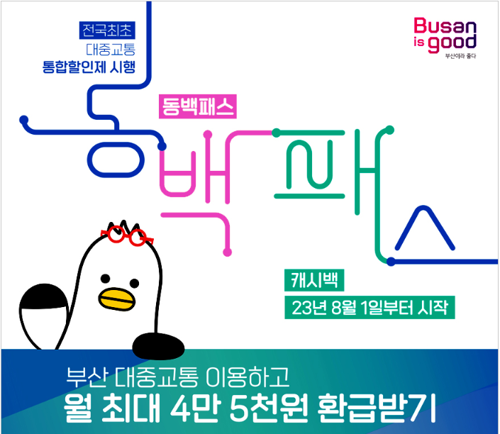  부산시 대중교통 통합할인제 동백패스 사용하고 계신가요?