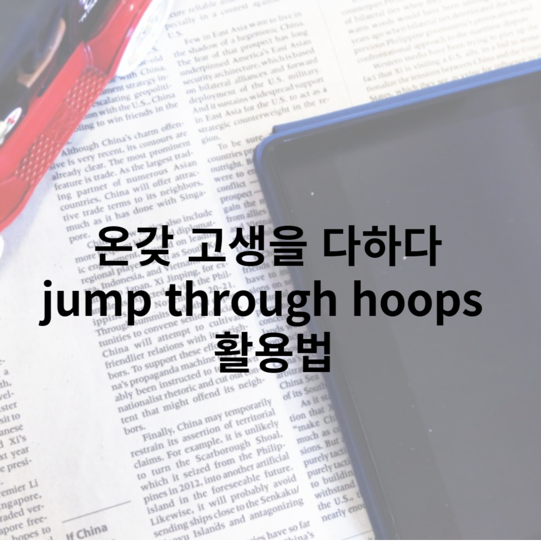 jump through hoops 로 온갖 고생을 다하다 표현하기
