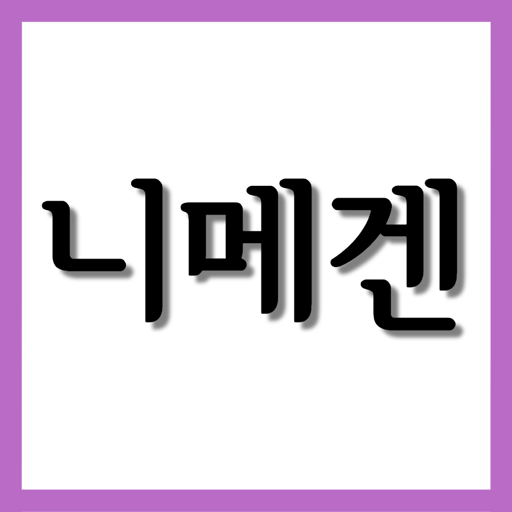  니메겐연질캡슐, 효능/복용법/부작용 등 모든 것