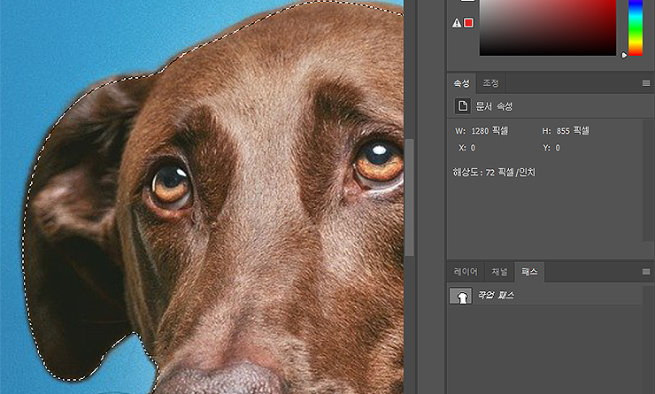 패스-작업영역-선택-장면