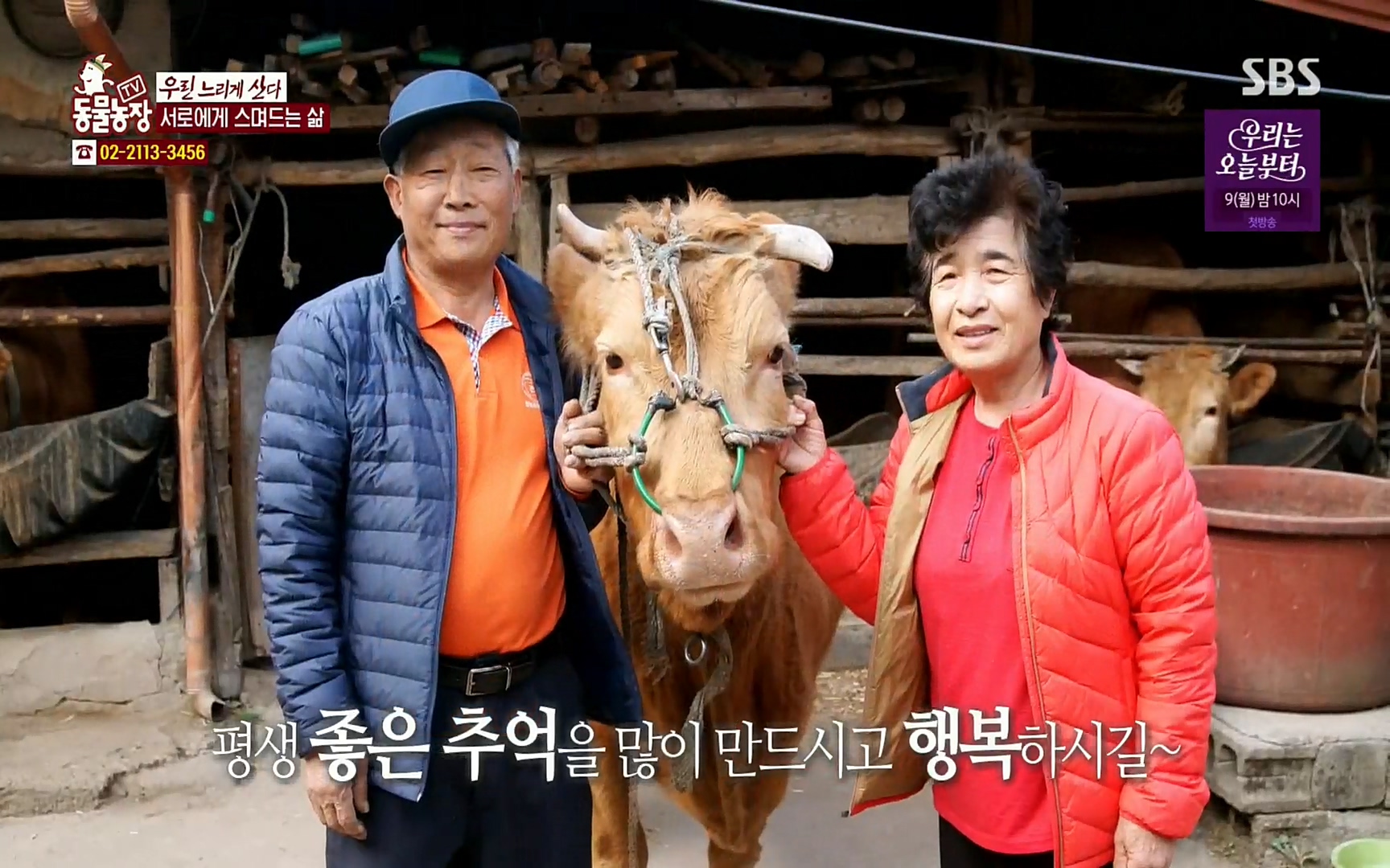 TV 동물농장.E1067.220501p.H264-F1RST.mp4_20220501_184801.062.jpg