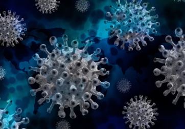 전염병 바이러스 이미지