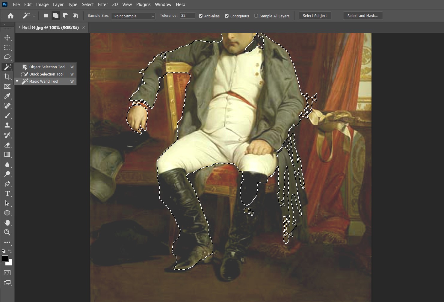 포토샵 Magic Wand Tool 적용 후 이미지