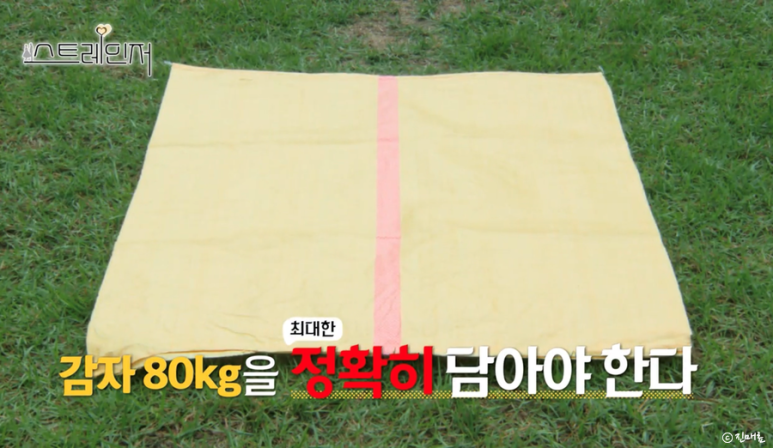 방영종료한국예능 스트레인저 1기 결말 출연진 31