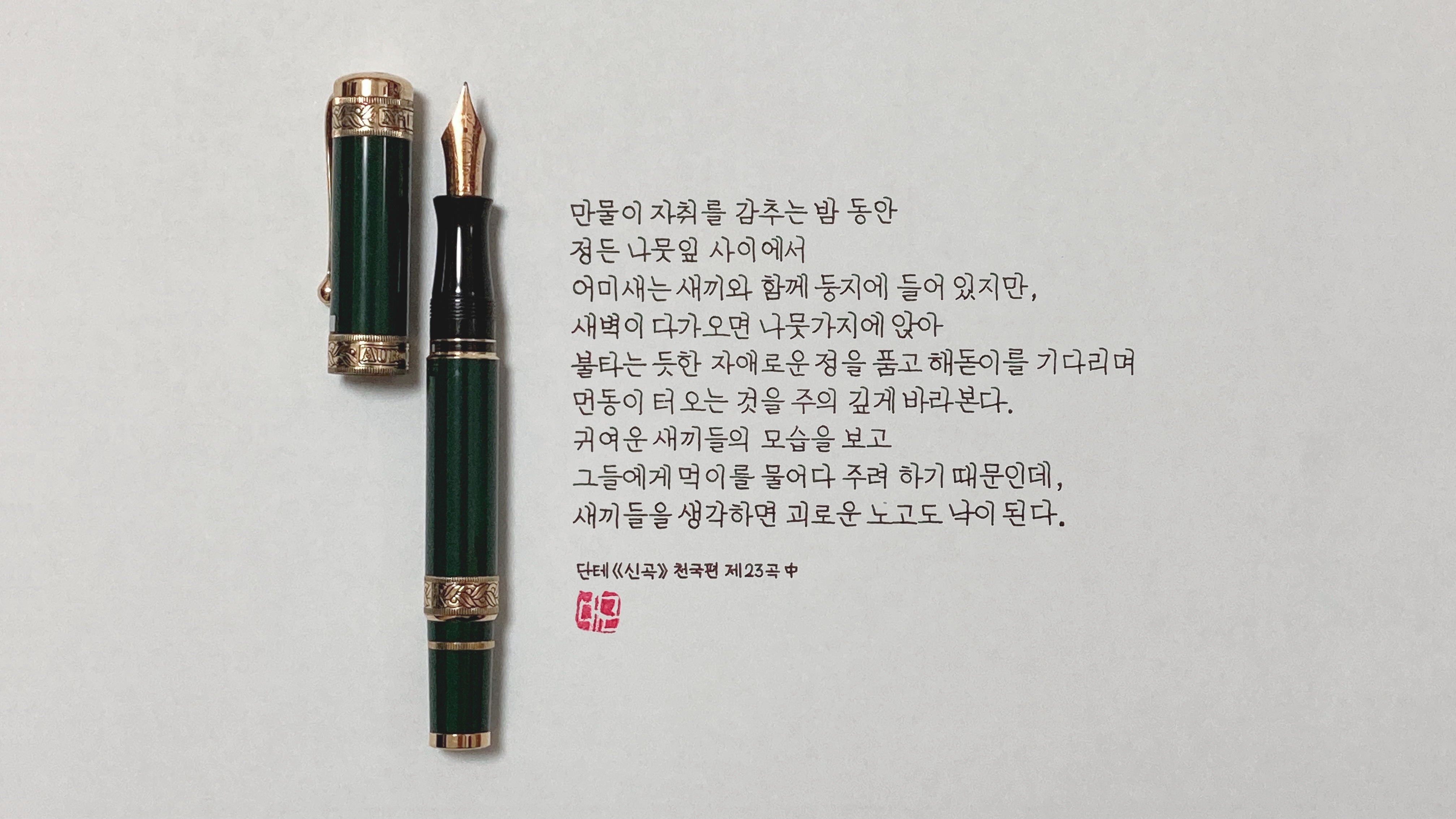 정든생각 이미지