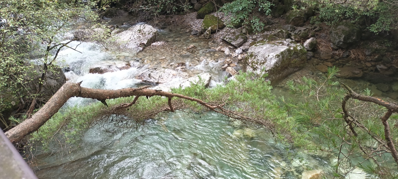 소백산국립공원 남천야영장 특화야영장 이미지