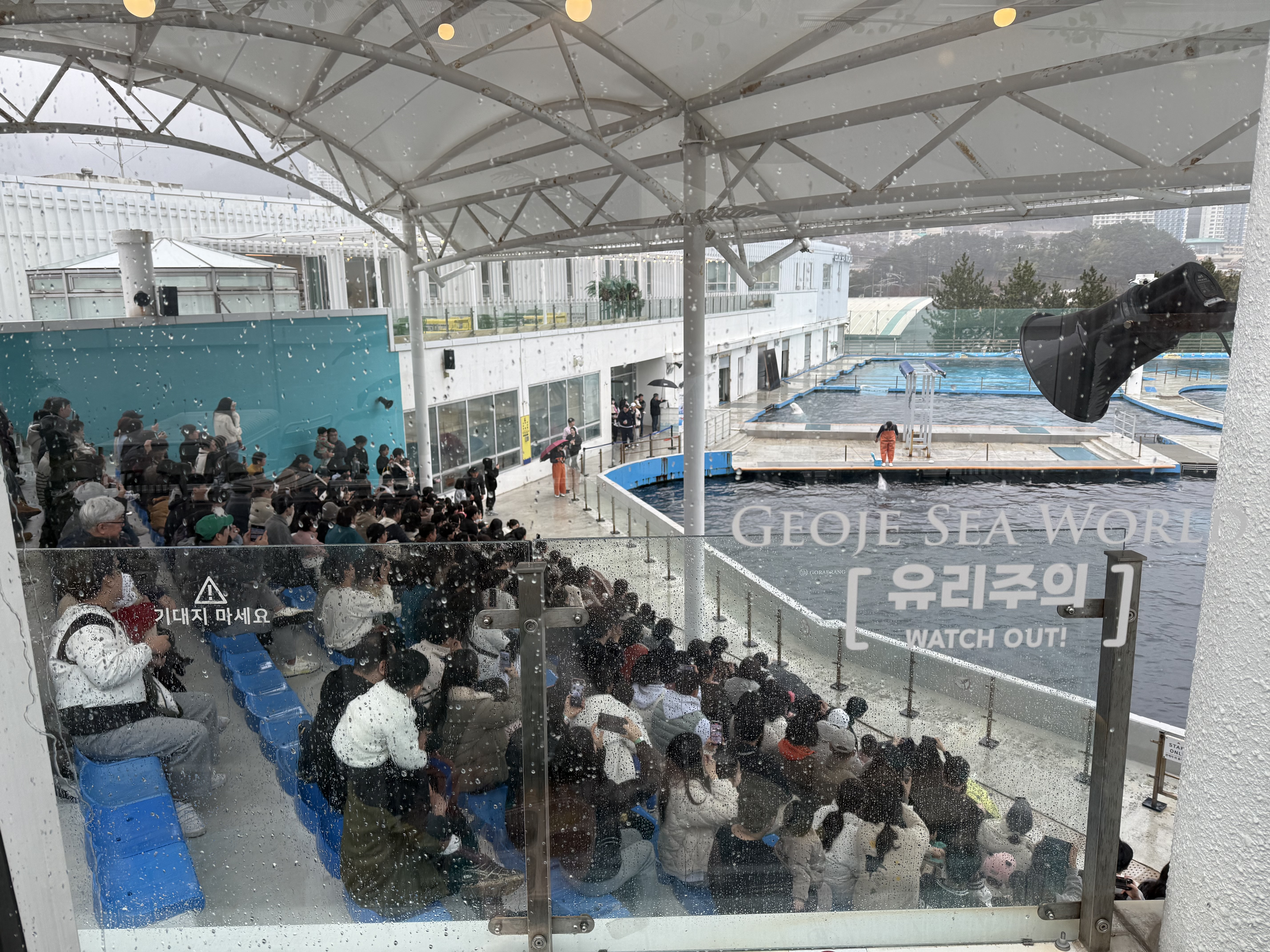 거제씨월드돌고래