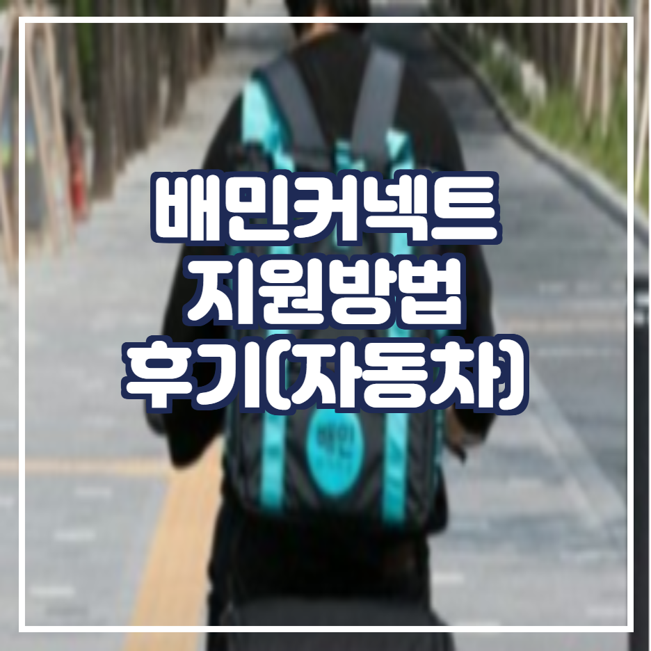  배민커넥트 자동차 후기