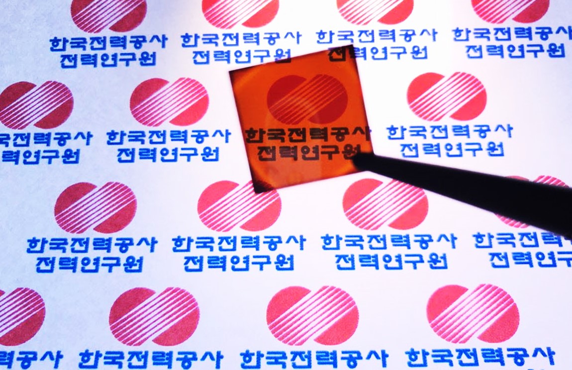 태양렌트카 이미지