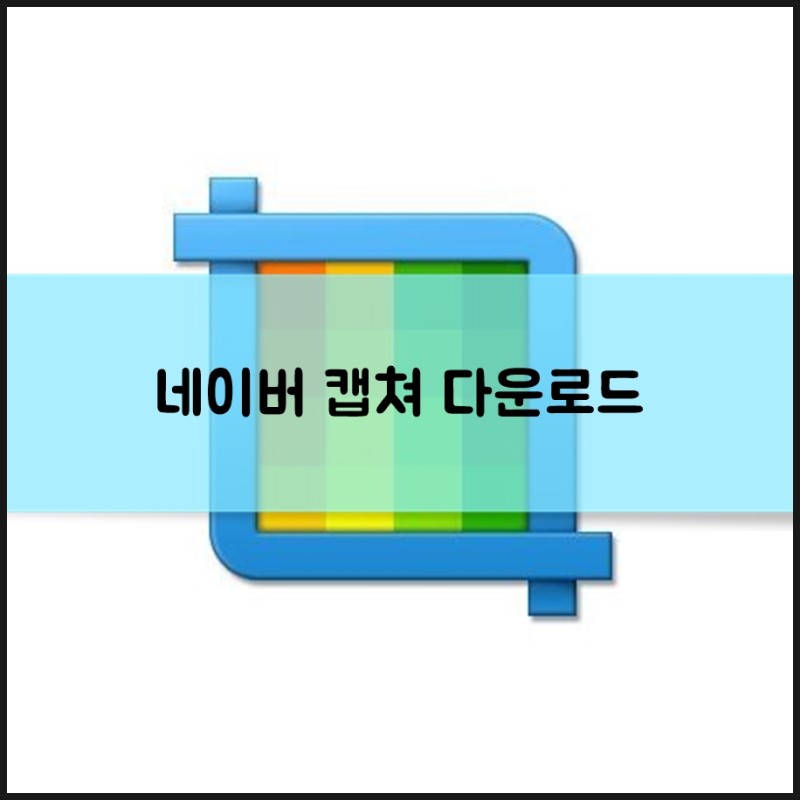 네이버캡처
