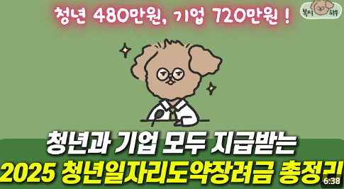 청년일자리 도약장려금