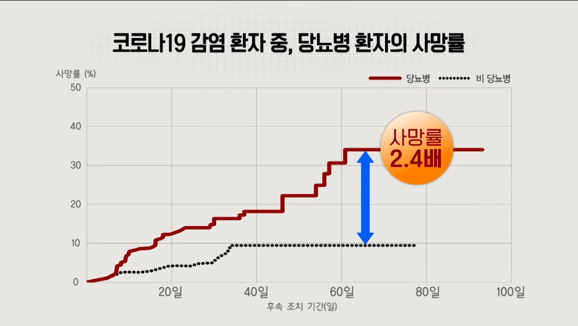  생로병사의 비밀 코로나: 당뇨의 중증위험도: 숙성배추가 사망률을 낮춘다!