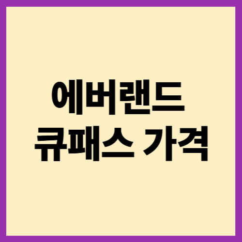 에버랜드 큐패스 가격