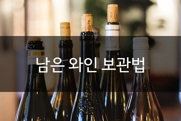 와인보관법 남은와인보관_2